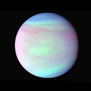 widget planet 
