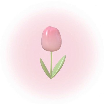 widget