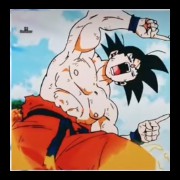 goku1