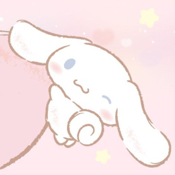 sanrio pack 2 cinnamoroll
