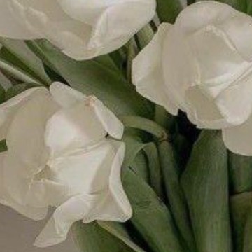 White flowers