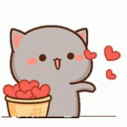 Cute Cat