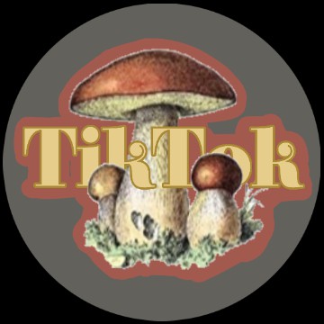 tiktok app icon