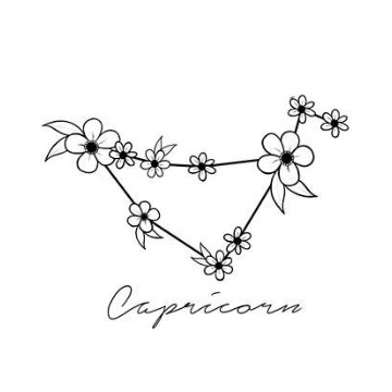 capricornio