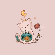 wishbowl cat
