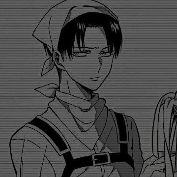 levi widget