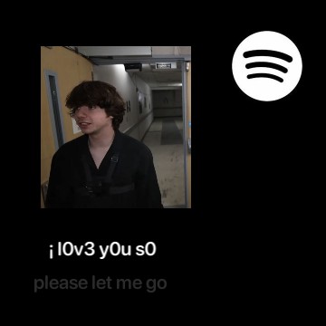 Spotify Widget karl