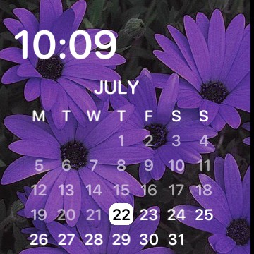 purple widget
