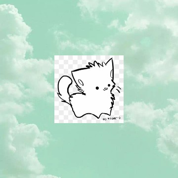 Sky cat
