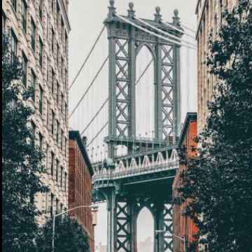 new York