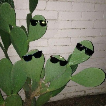verde