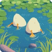 duck