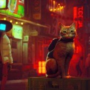 Stray