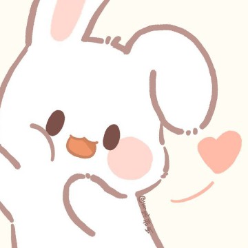 bunny 
