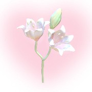 pink and sage green 