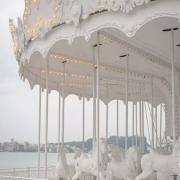 carousel widget