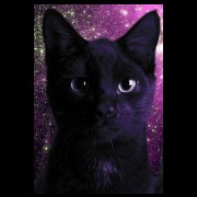 galaxy cat 1/2