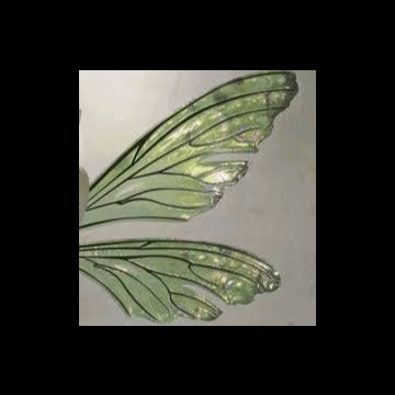 Butterfly sage