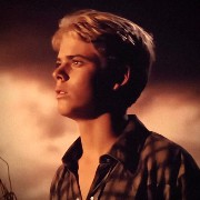 Ponyboy Curtis widget 