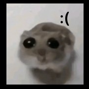 sad rat