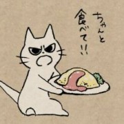 mad cat with food 