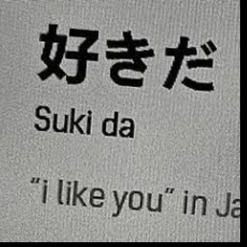 i like you.