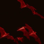 red bats 