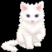 White fluffy cat
