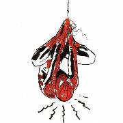 spideeer