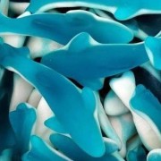 blue dolphins candy