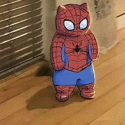 spidercat