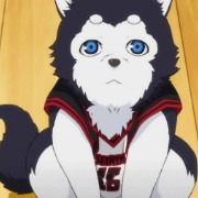 dog kuroko no basket