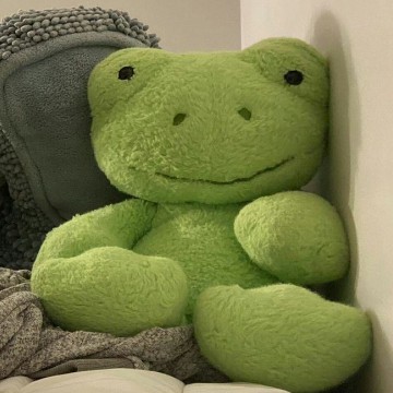 frog widgett