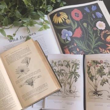 books 2