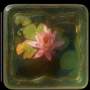 Flower glass