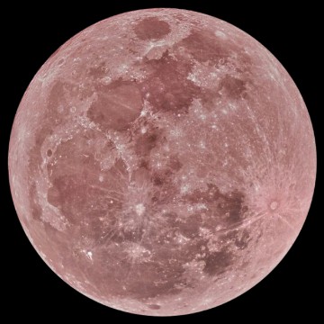 moon pink