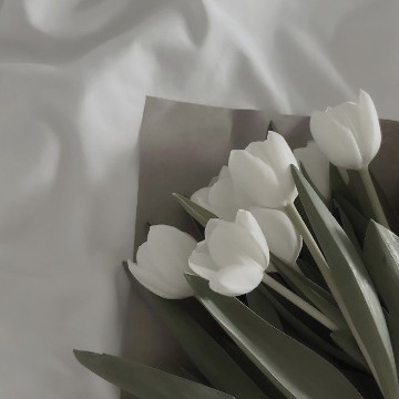 white flowers