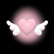 cupids love