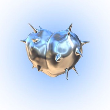 widget