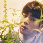 jin icon