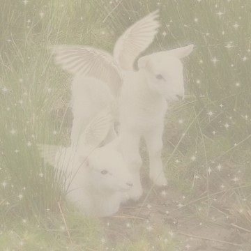 winged angel