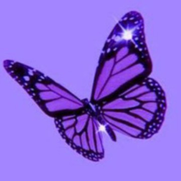 Purple butterfly