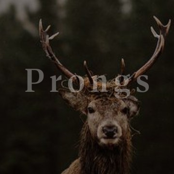 Prongs