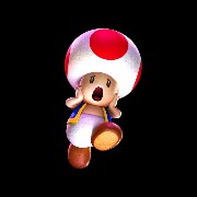 bro toad startled