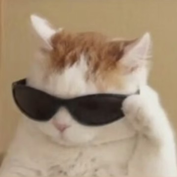CoolCat