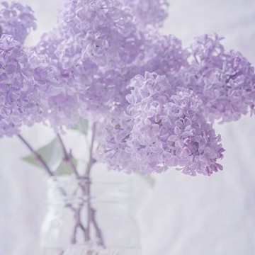 flower pot
