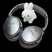headphone volume controller 