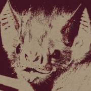bat 