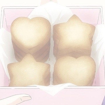 widget soft