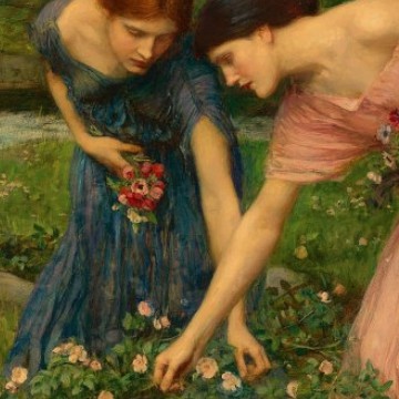 flowers